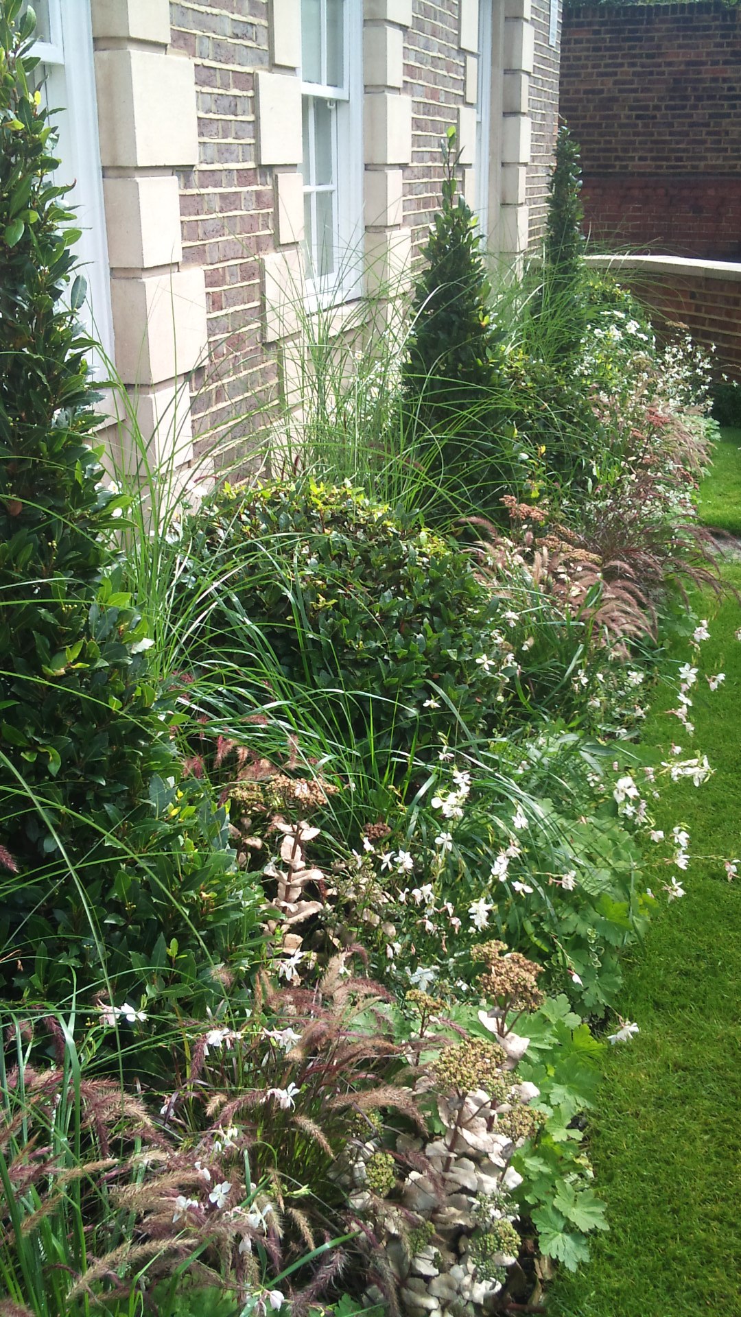 Abbey road close up of planting bay spires grasses and soft flowers