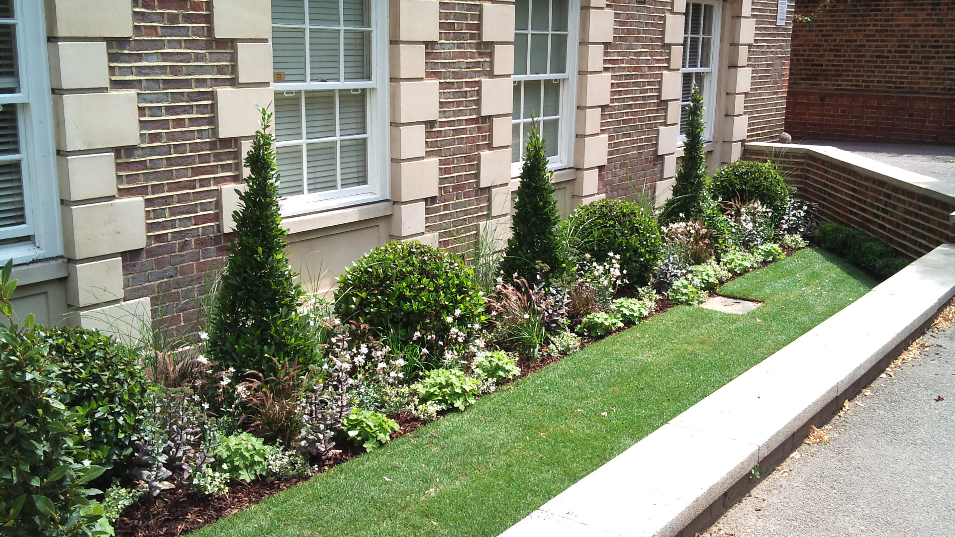 Abbey road frontage planting with bay spires and new planting in front of narrow lawn